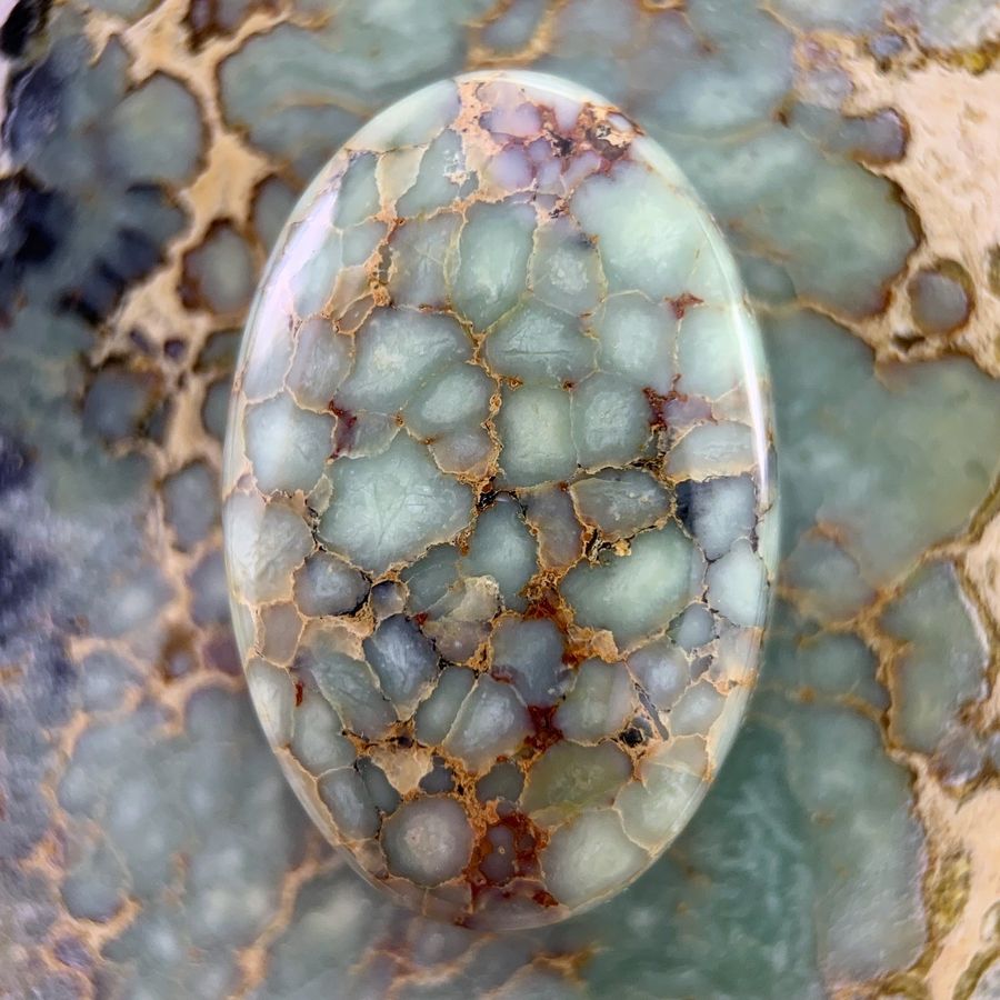 Polished variscite cabochon from the Agua Oro mine, Nevada