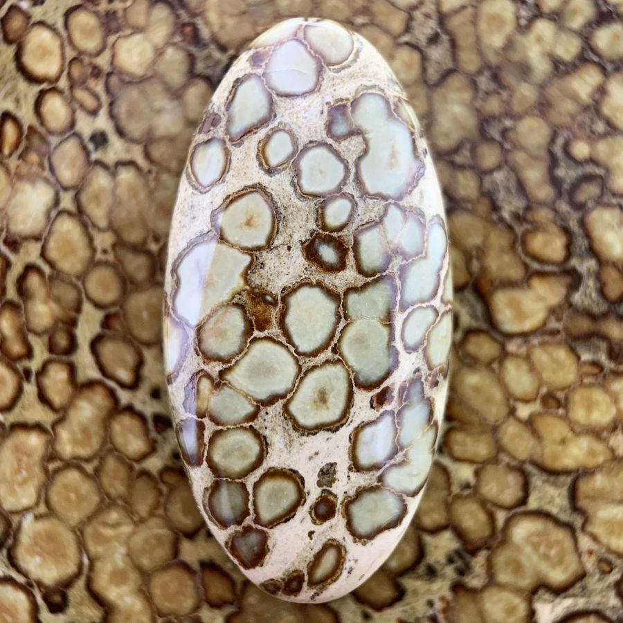 Polished variscite cabochon from the Agua Oro mine, Nevada