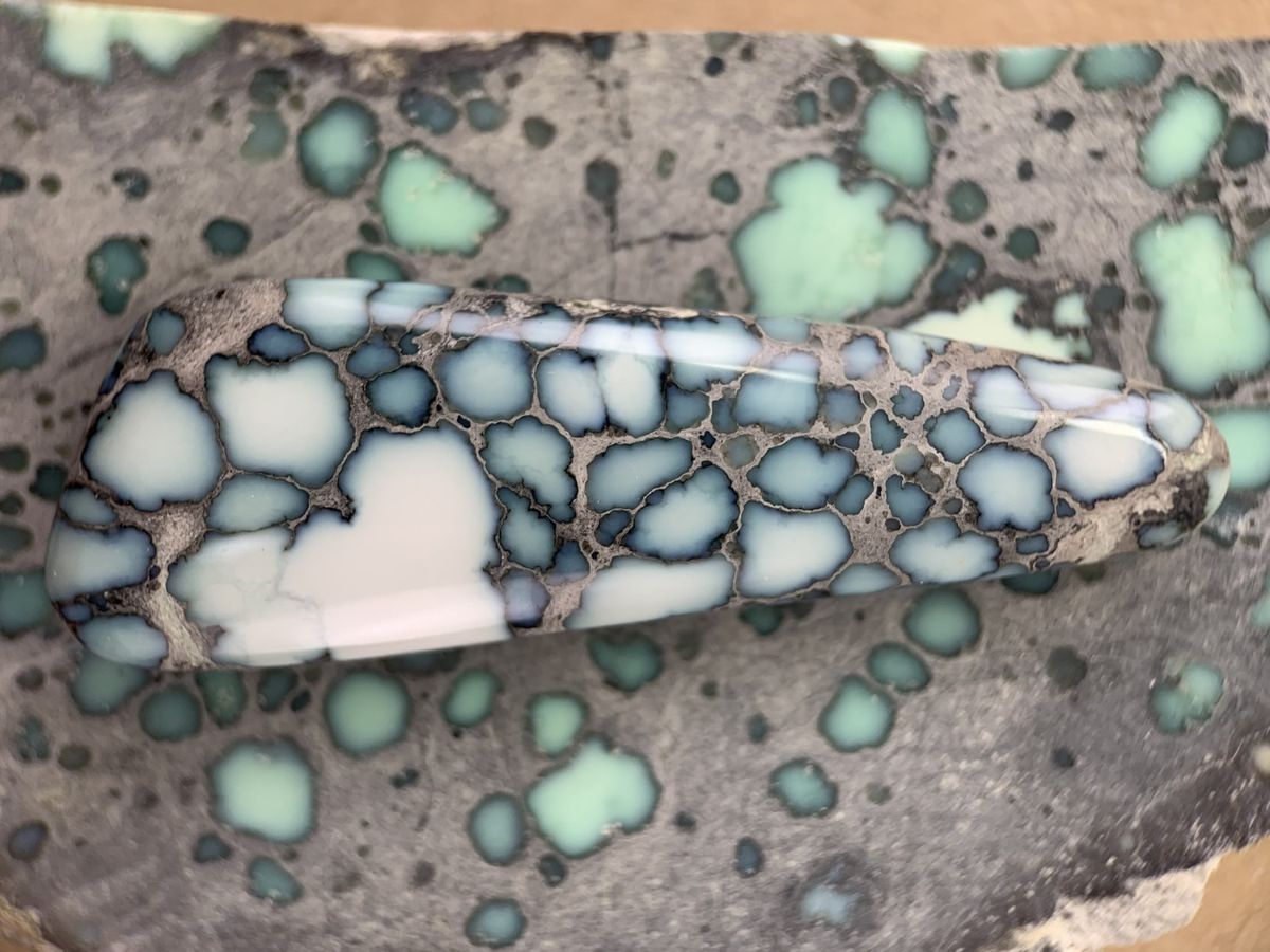 Polished variscite cabochon from the Calypso mine, Nevada
