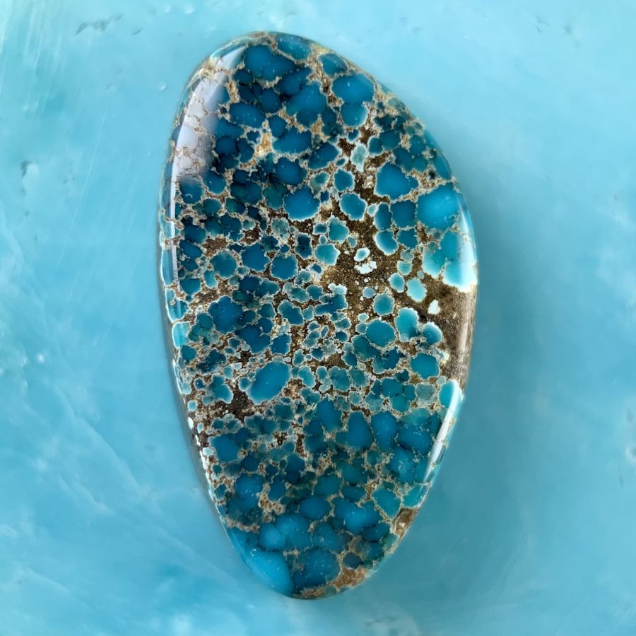 Polished turquoise cabochon from the Little Cristo mine, Nevada