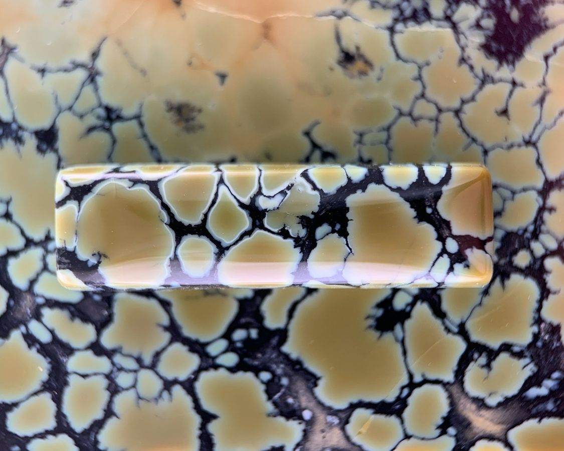 Polished variscite cabochon from the Nautilus mine, Nevada