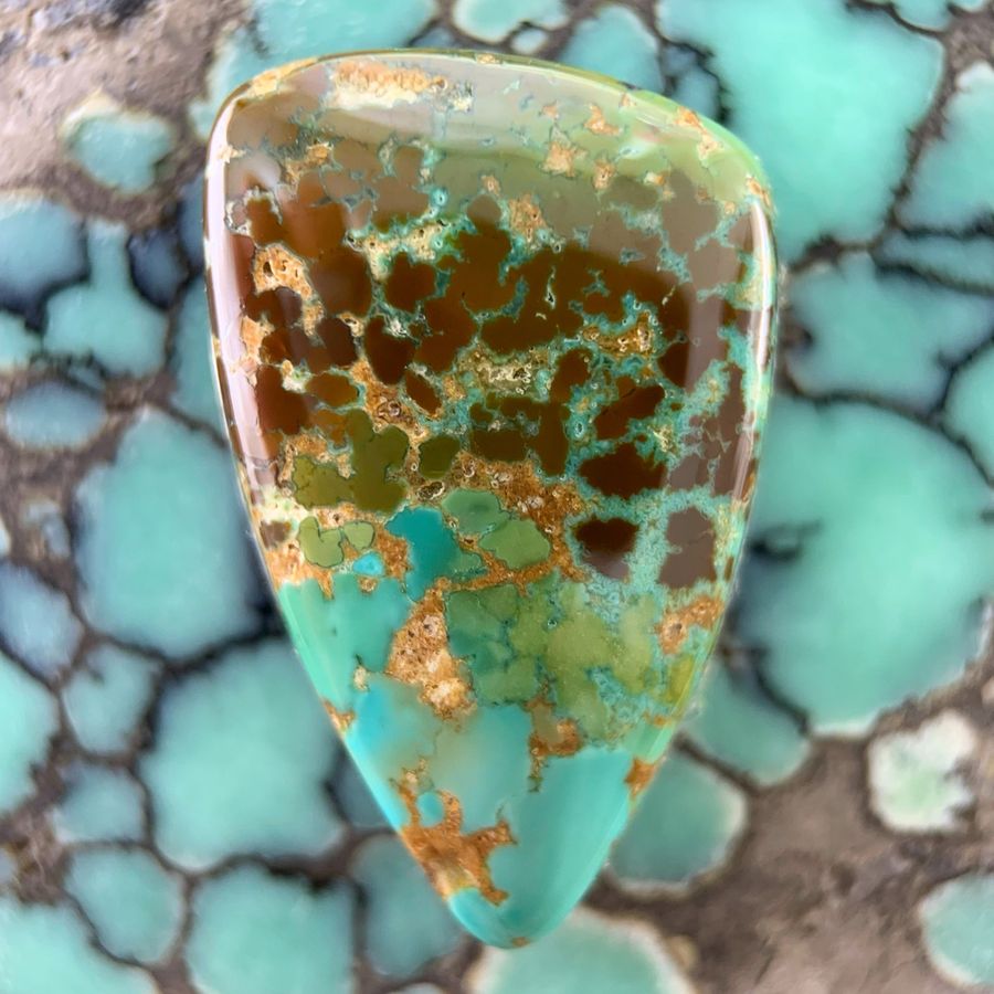 Polished turquoise cabochon from the Toquima mine, Nevada