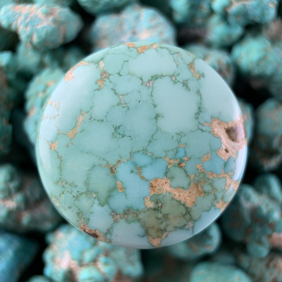 Polished turquoise cabochon from the Toquima mine, Nevada