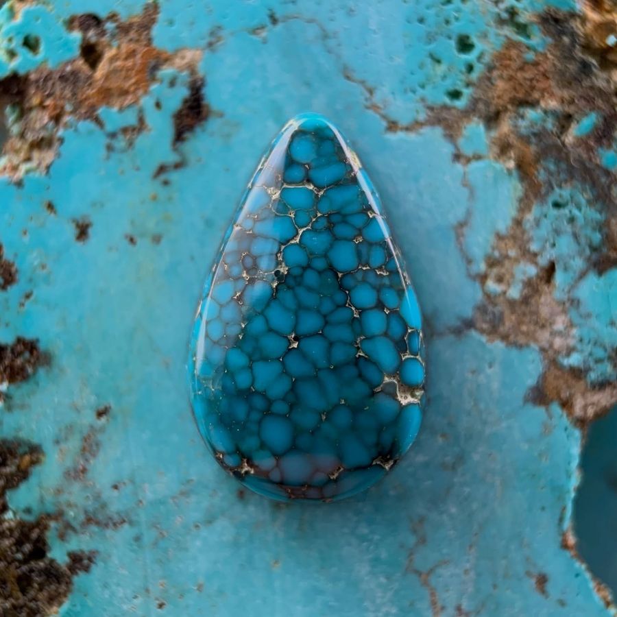Polished turquoise cabochon from the Toquima mine, Nevada