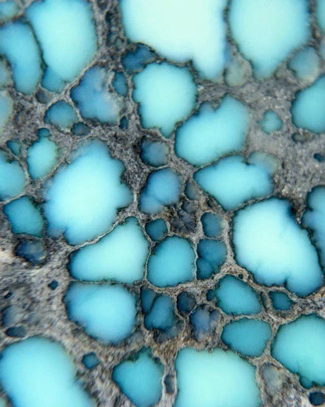 Calypso variscite with icy blue spiderweb in steely gray matrix, Esmeralda County, Nevada