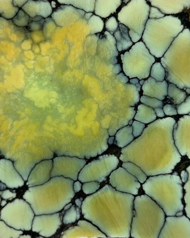 Colina Verde variscite with green polychrome spiderweb, Esmeralda County, Nevada