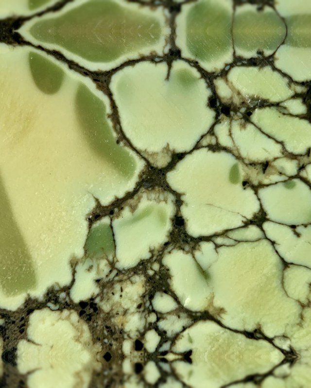 Nautilus yellow-green variscite with fine spiderweb, Esmeralda County, Nevada